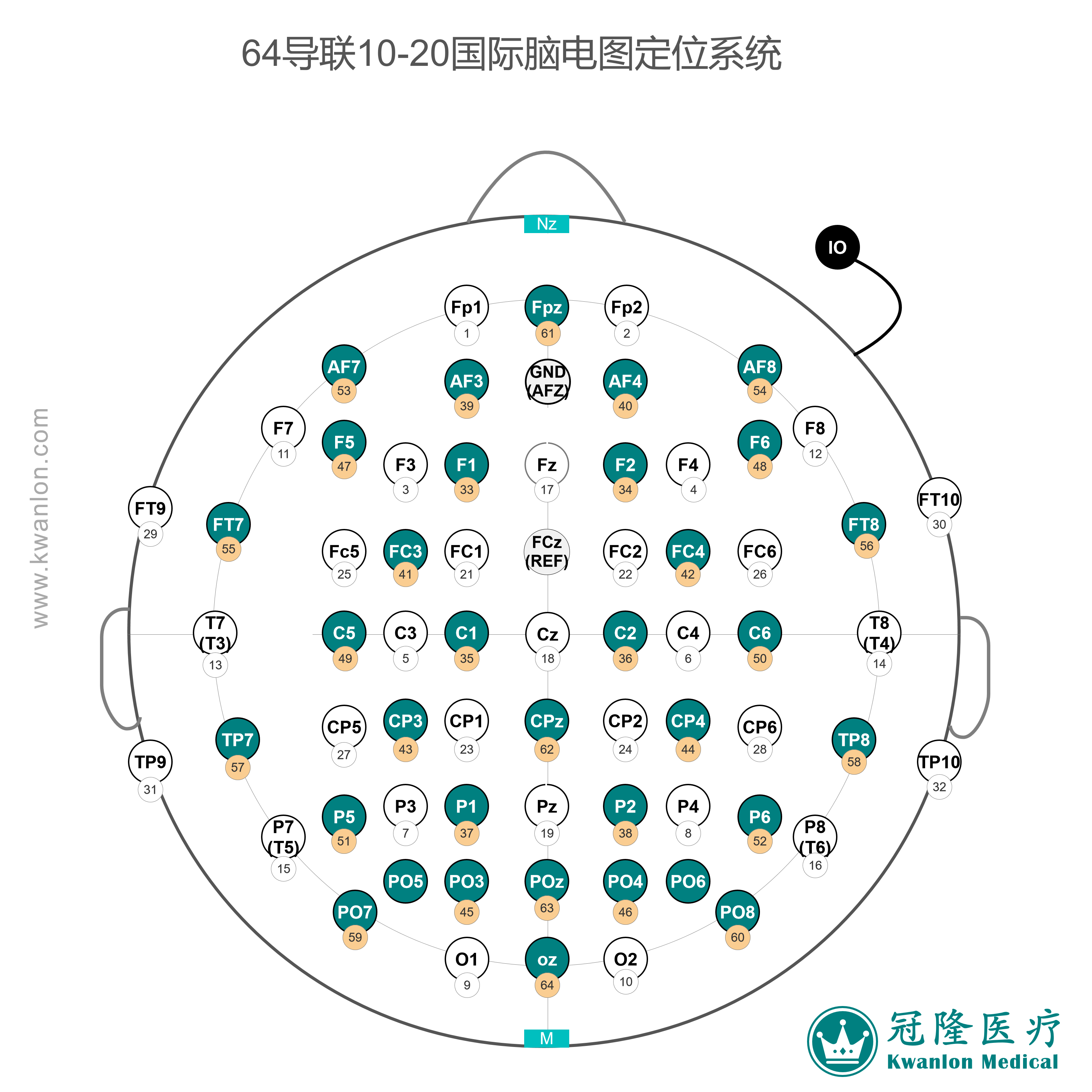 64導(dǎo)國際腦電圖電極定位